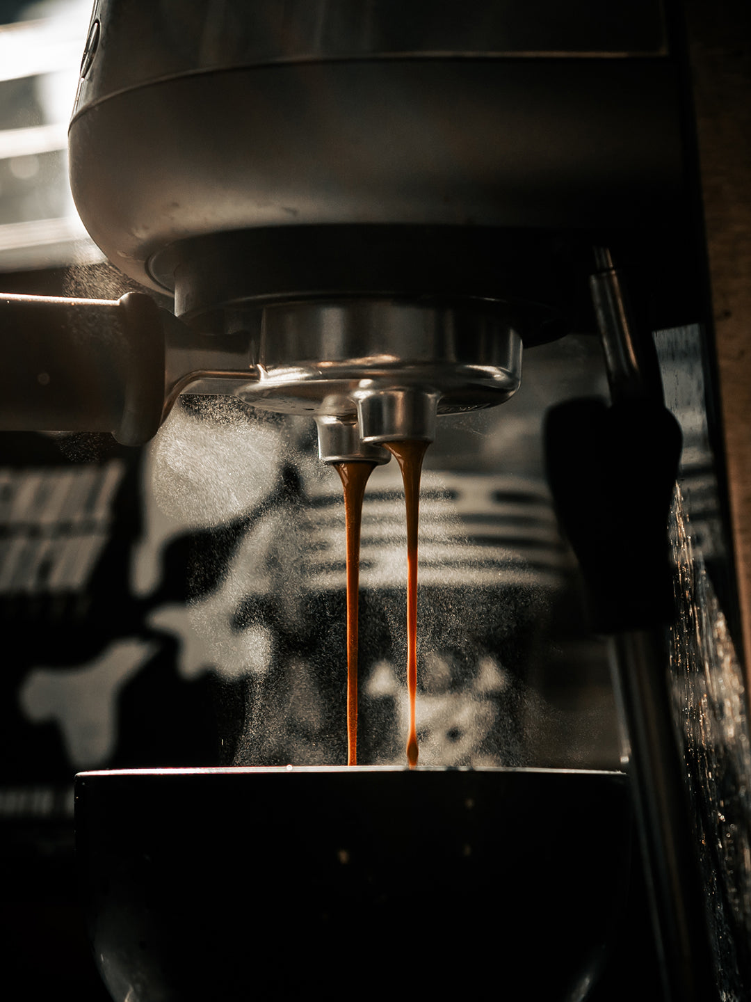 Image of SKULL HOUSE BLEND